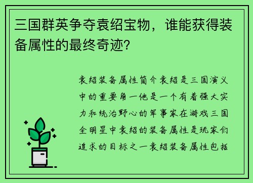 三国群英争夺袁绍宝物，谁能获得装备属性的最终奇迹？