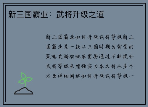 新三国霸业：武将升级之道