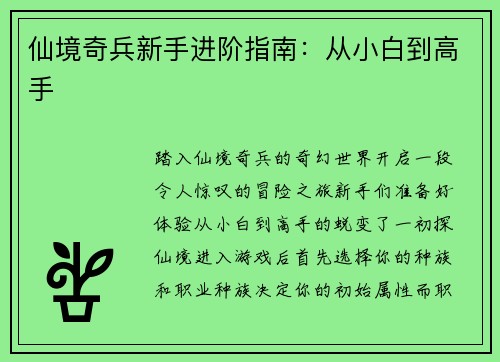 仙境奇兵新手进阶指南：从小白到高手